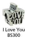 BS300
